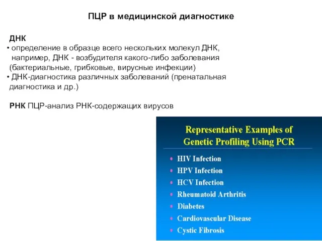 ПЦР в медицинской диагностике ДНК определение в образце всего нескольких молекул ДНК,