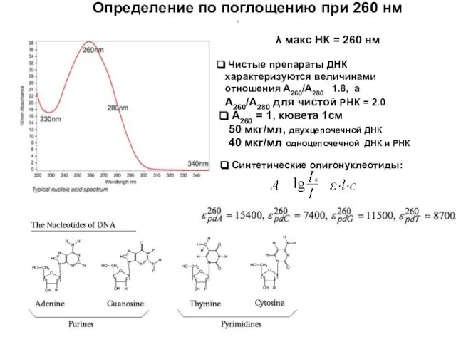 Чистые препараты ДНК характеризуются величинами отношения А260/А280 1.8, а А260/А280 для чистой