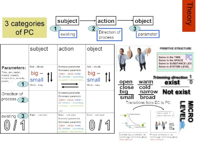PRIMITIVE STRUCTURE MICRO LEVEL exist Not exist 1 0 Trimming direction Theory