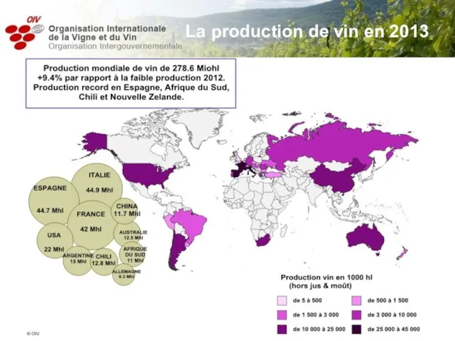 La production de vin en 2013