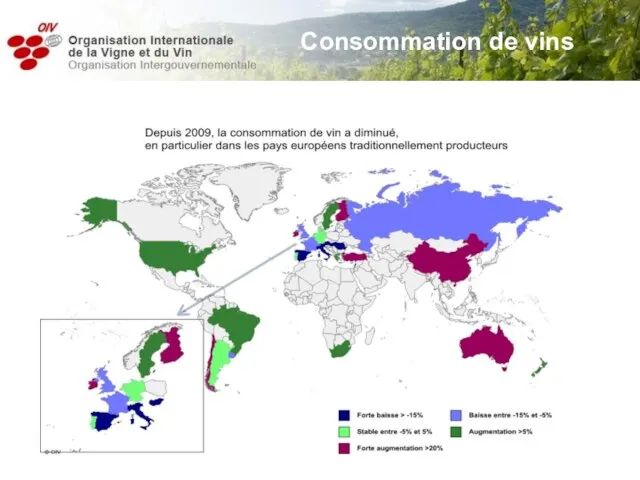 Consommation de vins