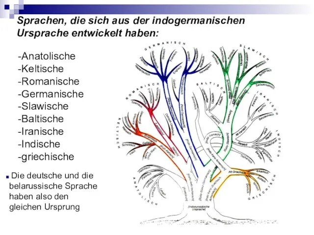 Sprachen, die sich aus der indogermanischen Ursprache entwickelt haben: Anatolische Keltische Romanische