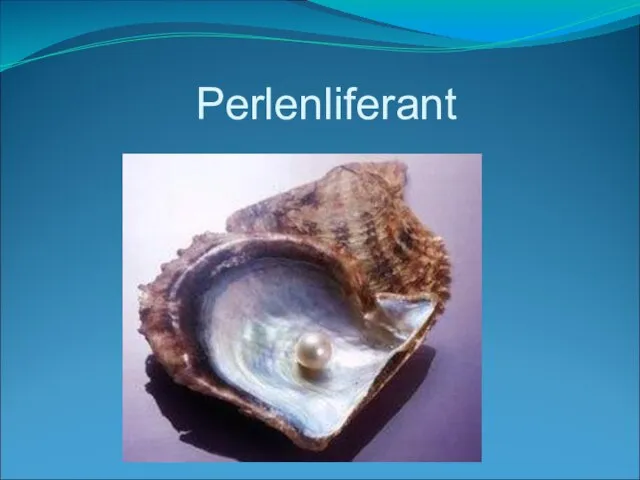 Perlenliferant