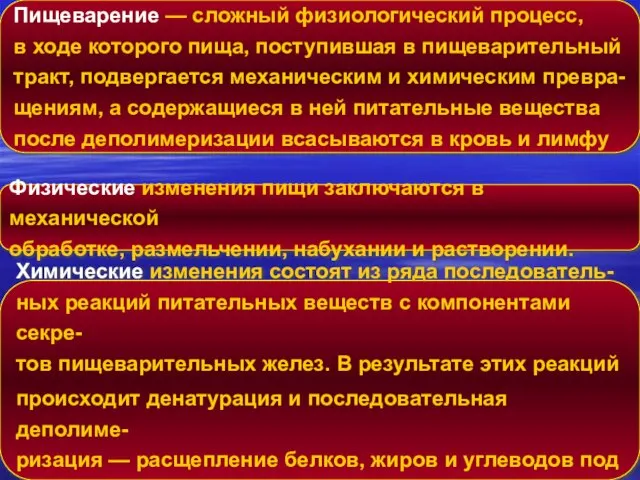 Пищеварение — сложный физиологический процесс, в ходе которого пища, поступившая в пищеварительный