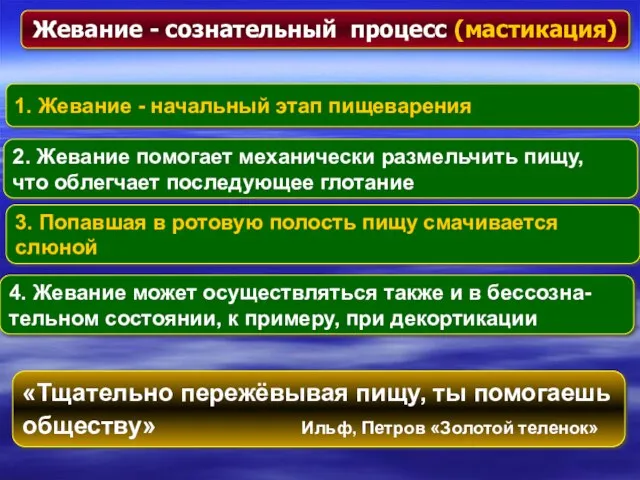 Жевание - сознательный процесс (мастикация) 1. Жевание - начальный этап пищеварения 2.