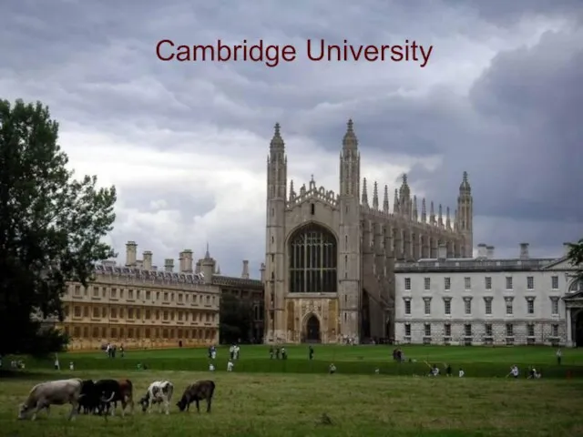 Cambridge University