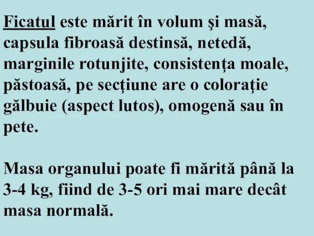 Ficatul este mărit în volum şi masă, capsula fibroasă destinsă, netedă, marginile