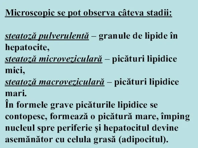 Microscopic se pot observa câteva stadii: steatoză pulverulentă – granule de lipide