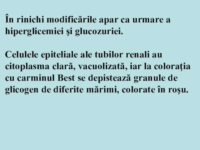 În rinichi modificările apar ca urmare a hiperglicemiei şi glucozuriei. Celulele epiteliale