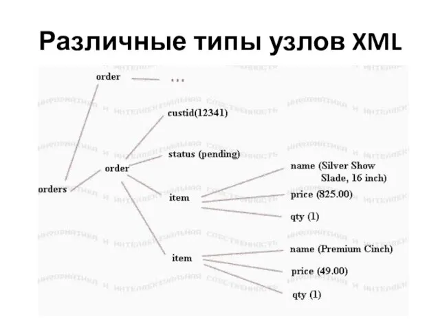 Различные типы узлов XML