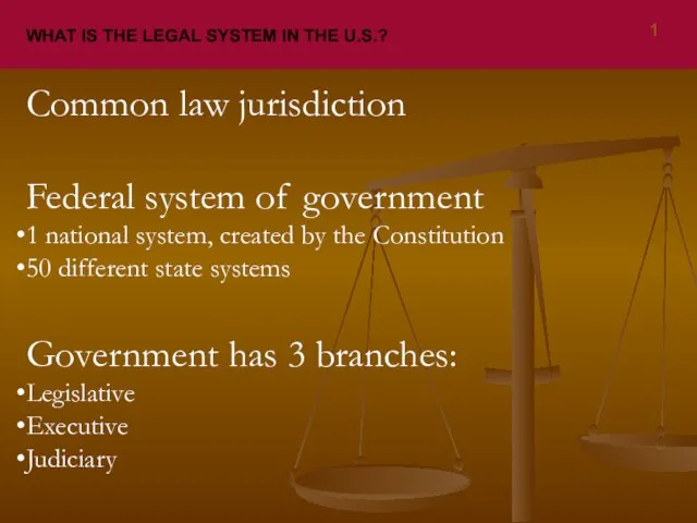 WHAT IS THE LEGAL SYSTEM IN THE U.S.? Common law jurisdiction Federal