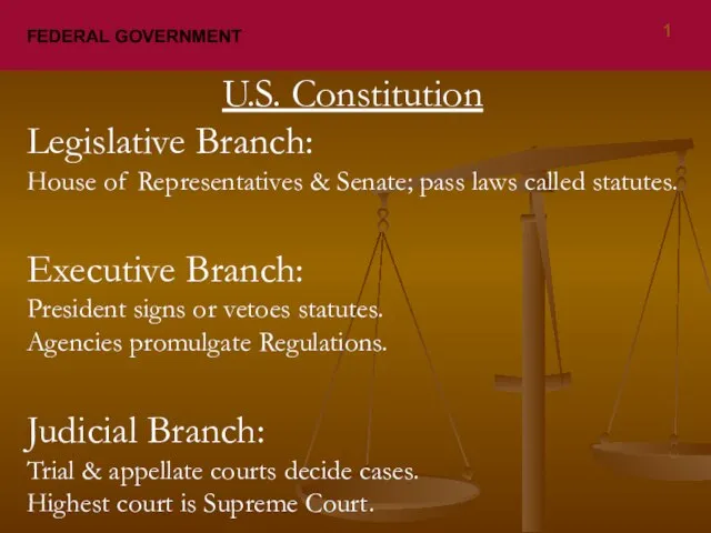 FEDERAL GOVERNMENT U.S. Constitution Legislative Branch: House of Representatives & Senate; pass