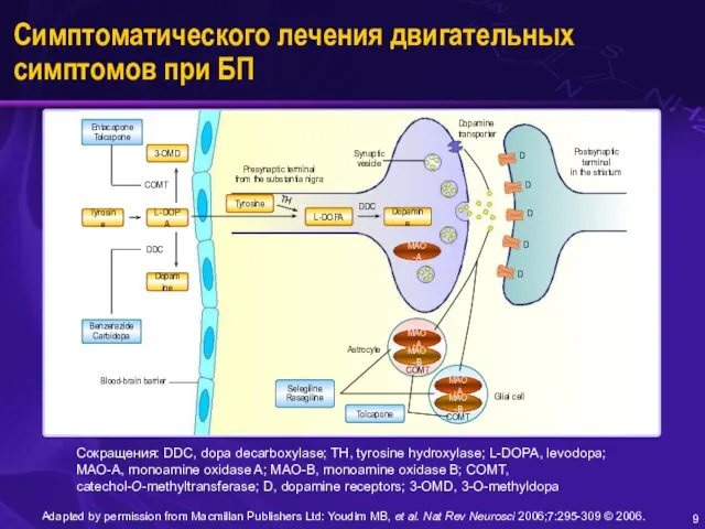 Симптоматического лечения двигательных симптомов при БП Adapted by permission from Macmillan Publishers