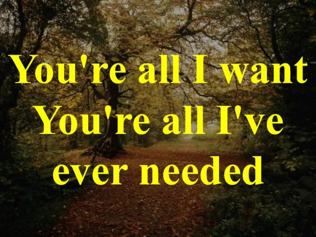 You're all I want You're all I've ever needed