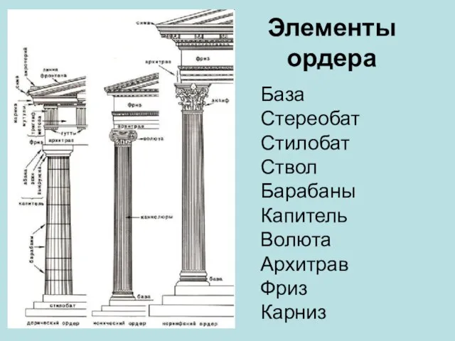 Элементы ордера База Стереобат Стилобат Ствол Барабаны Капитель Волюта Архитрав Фриз Карниз