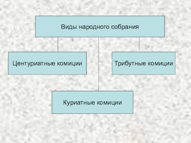 Виды народного собрания Центуриатные комиции Трибутные комиции Куриатные комиции