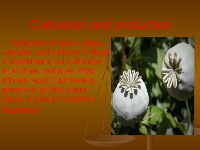 Cultivation and production Cultivation of opium poppy, cannabis, and ephedra is illegal