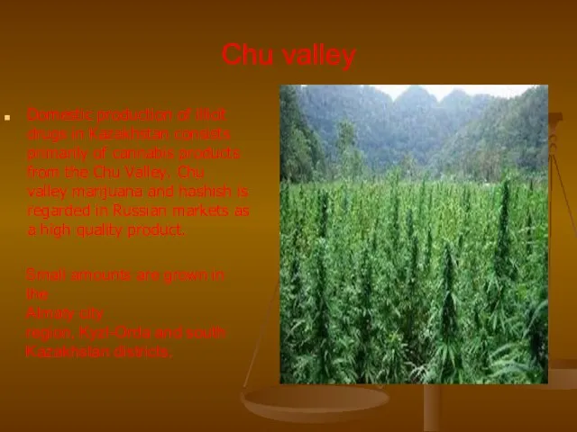 Chu valley Domestic production of illicit drugs in Kazakhstan consists primarily of