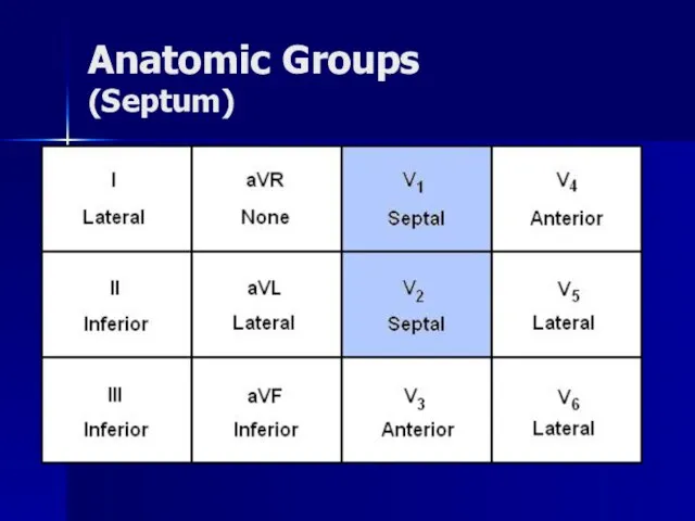 Anatomic Groups (Septum)