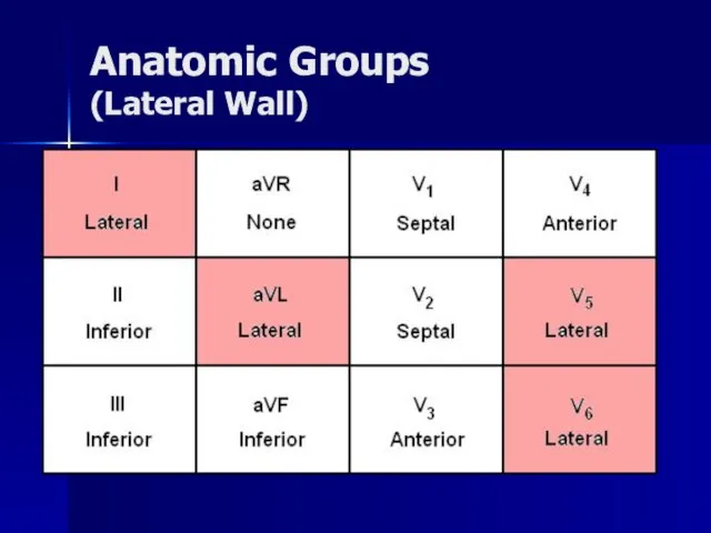 Anatomic Groups (Lateral Wall)