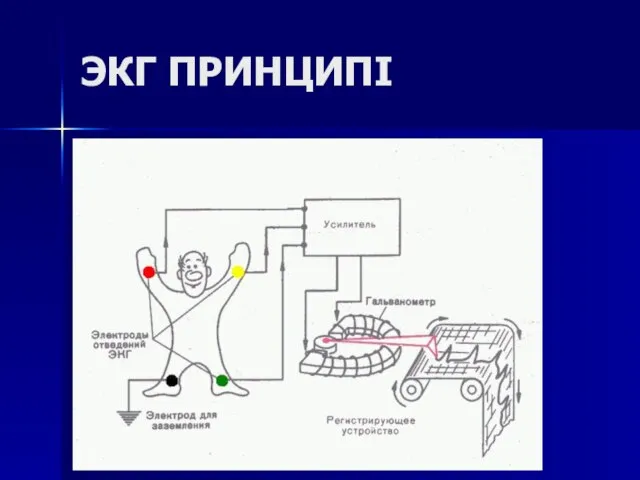 ЭКГ ПРИНЦИПІ