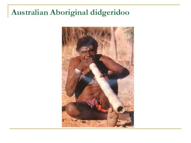 Australian Aboriginal didgeridoo