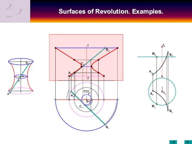Surfaces of Revolution. Examples. C O B I I' A B1 B2