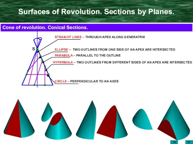 Surfaces of Revolution. Sections by Planes. S ELLIPSE – TWO OUTLINES FROM