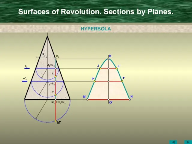 Surfaces of Revolution. Sections by Planes. O' M2 =N2 =O2 M' M'