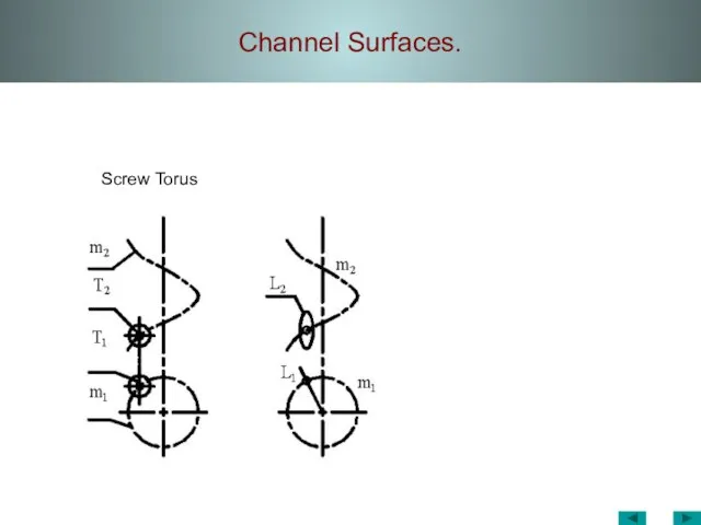 Channel Surfaces. Screw Torus