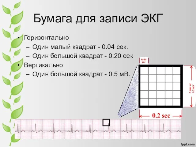 Бумага для записи ЭКГ Горизонтально Один малый квадрат - 0.04 сек. Один