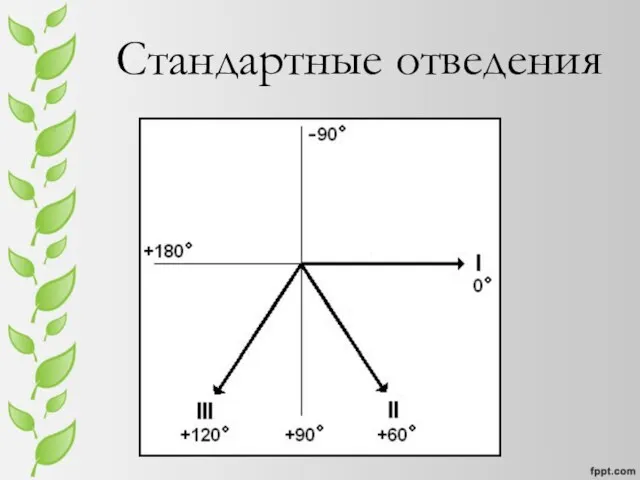 Стандартные отведения