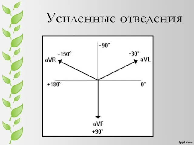 Усиленные отведения