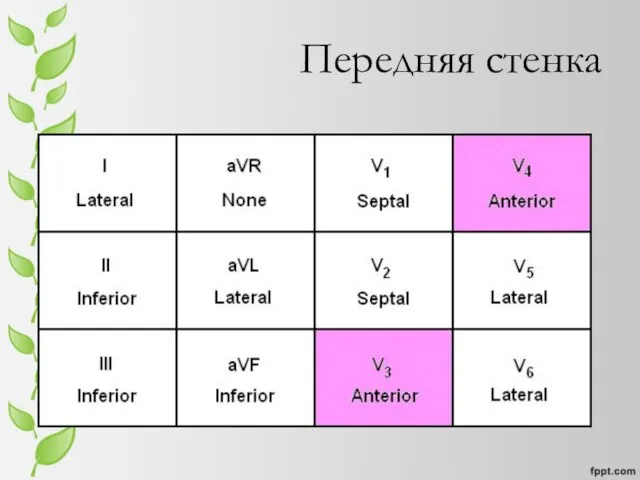 Передняя стенка