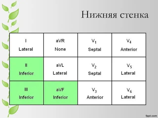 Нижняя стенка