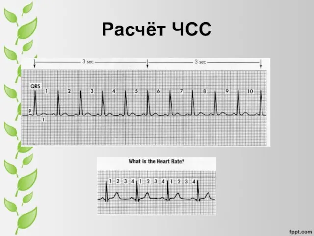 Расчёт ЧСС