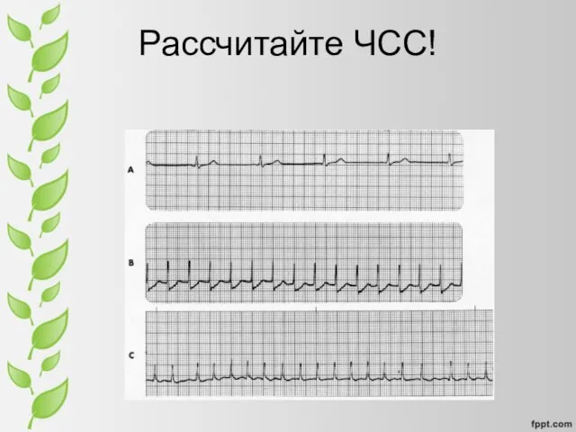 Рассчитайте ЧСС!