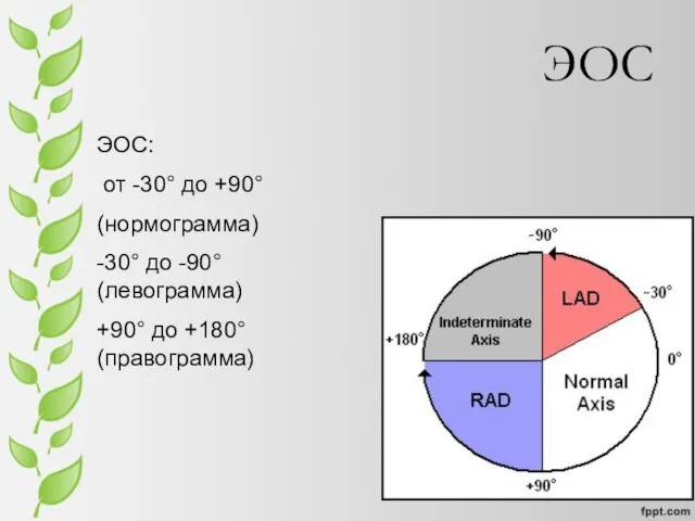 ЭОС ЭОС: от -30° до +90° (нормограмма) -30° до -90° (левограмма) +90° до +180° (правограмма)