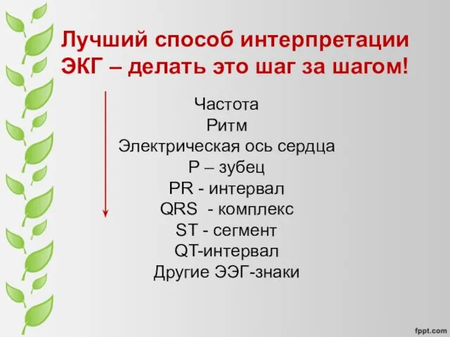 Частота Ритм Электрическая ось сердца P – зубец PR - интервал QRS