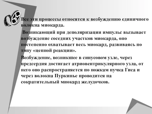 Все эти процессы относятся к возбуждению единичного волокна миокарда. Возникающий при деполяризации