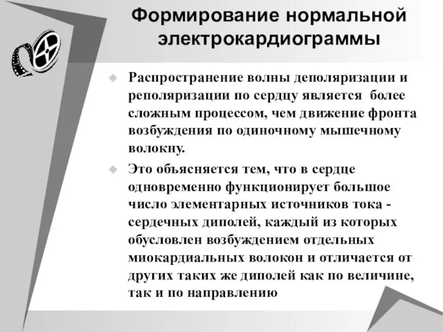 Формирование нормальной электрокардиограммы Распространение волны деполяризации и реполяризации по сердцу является более