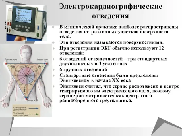 Электрокардиографические отведения В клинической практике наиболее распространены отведения от различных участков поверхности