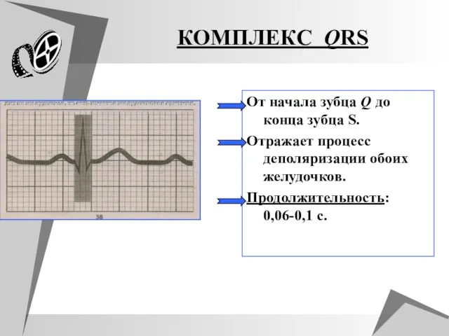 КОМПЛЕКС QRS От начала зубца Q до конца зубца S. Отражает процесс