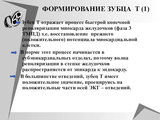 ФOРМИРOВАНИЕ ЗУБЦА T (1) Зубец Т отражает процесс быстрой конечной реполяризации миокарда