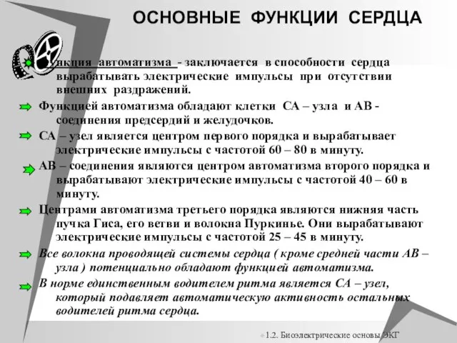 OСНOВНЫЕ ФУНКЦИИ СЕРДЦА Функция автоматизма - заключается в способности сердца вырабатывать электрические