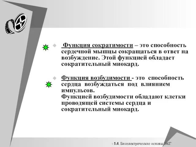 1.1 1.4. Биоэлектрические основы ЭКГ Функция сократимости – это способность сердечной мышцы