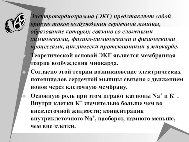 Электрокардиограмма (ЭКГ) представляет собой кривую токов возбуждения сердечной мышцы, образование которых связано