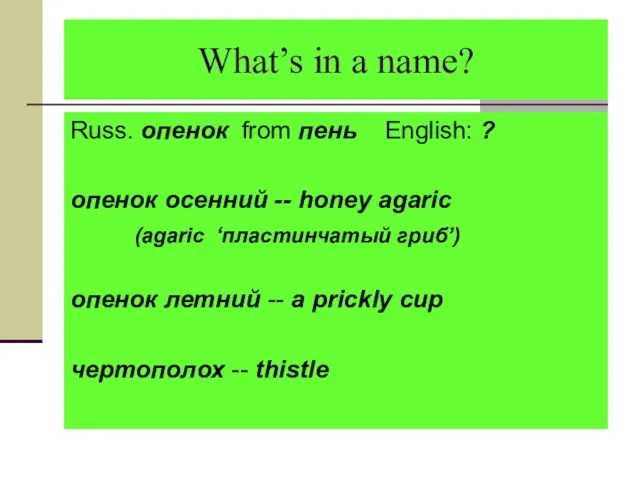 What’s in a name? Russ. опенок from пень English: ? опенок осенний