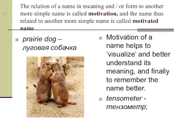 The relation of a name in meaning and / or form to