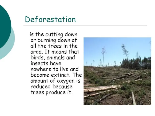 Deforestation is the cutting down or burning down of all the trees